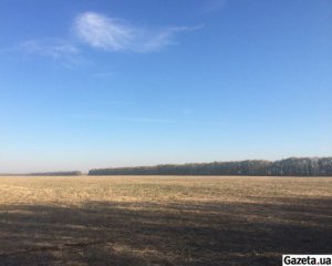 Поступления от рынка земли в госбюджет-2020 не внесли