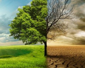 Вчені-кліматологи з 153 країн закликали ввести надзвичайний кліматичний стан