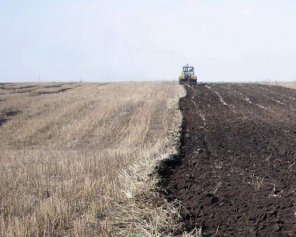 В Минэкономики назвали стоимость гектара украинской земли