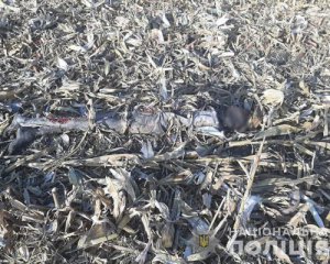 Серед поля знайшли мумію чоловіка: показали фото