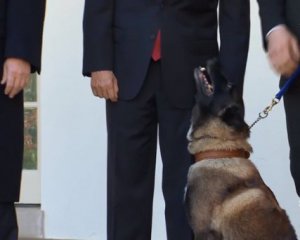 В Белом доме наградили собаку-участника ликвидации главаря &quot;Исламского государства&quot;