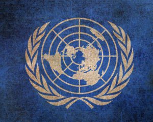 Появился текст резолюции ООН по Крыму