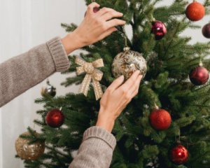 Як обрати живу ялинку - поради продавця