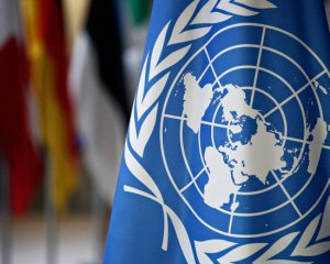 В ООН закликали змінити мовний закон