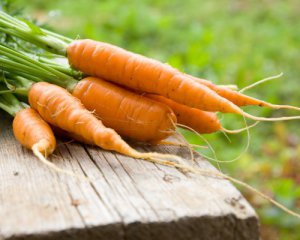 Морковь рекордно подешевела: цена