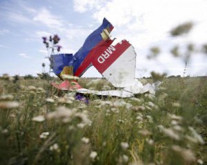 Катастрофа МН17: Россия готова сообщить новые данные