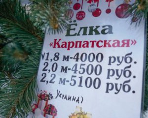 У Сімферополі продають ялинки з Івано-Франківської області