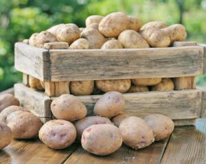 Які продукти найбільше дорожчали протягом минулого року