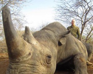 Шуфрич говорит, что убивал старых и агрессивных носорогов