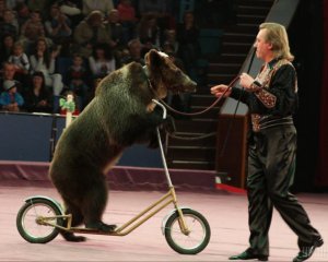 Цирки перестануть експлуатувати тварин