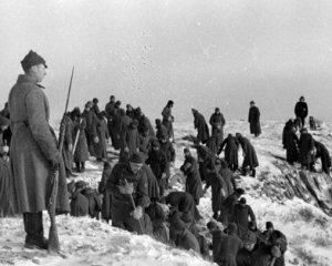 Створили трудову армію