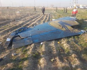 Авіакатастрофа в Ірані: показали нові відео падіння літака