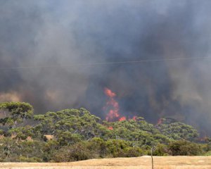 Погода вмешалась в спасение Австралии от пожаров