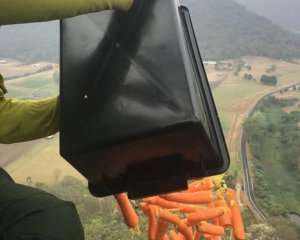 В Австралии с вертолетов сбрасывают еду для животных