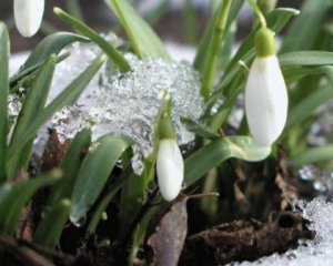Синоптики потішили весняною погодою