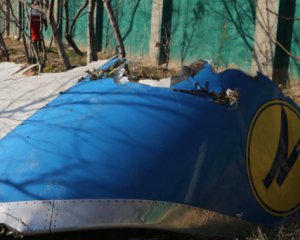 Катастрофа літака МАУ: уряд готує компенсацію сім'ям загиблих