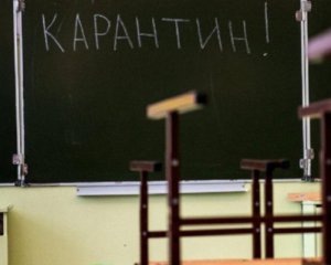 Вспышка гриппа: в Украине закрывают школы на карантин