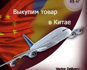 Надежно и быстро: почему выгодно заказывать товары из Китая через Vector China