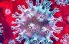У Росії вперше виявили коронавірус