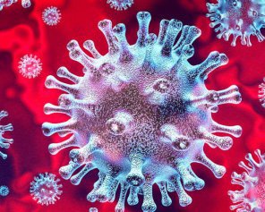 В России впервые обнаружили коронавирус