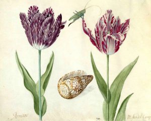 Торгівля квітами призвела до кризи в країні