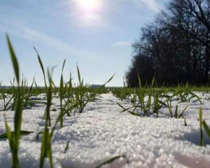 Погода у лютому: нас очікує аномальний місяць