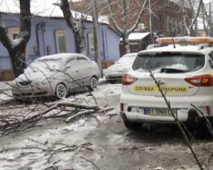 Негода в Україні: сотні населених пунктів залишилися без світла