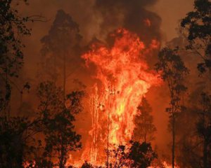 Злива загасила майже всі пожежі в Австралії