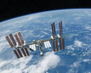 Поглинає радіацію: чорнобильський грибок NASA планує вивчити на МКС