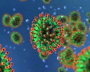 Вчені заявили про прорив у вивченні коронавірусу