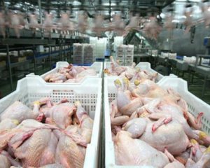 ЕС не захотел кушать украинскую курятину