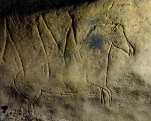 Исследовали пещеру с изображениями зверей, которым 13 тыс. лет