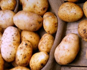Украина завезла рекордное количество картофеля из-за границы