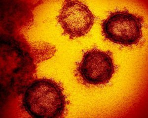 Китай почав тестувати вакцини від коронавірусу