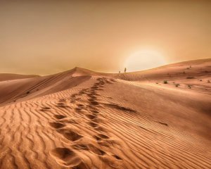 У Сахарі знайшли кістки риб