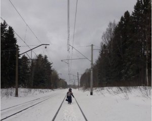 Повалені дерева призвели до затримки поїздів