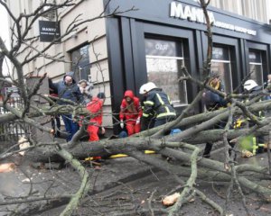 Еще одна жертва штормового ветра попала в больницу