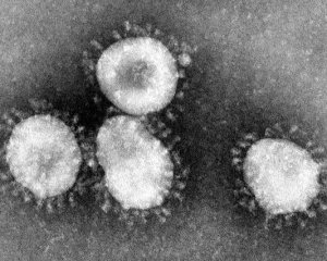 Не боїться сильного морозу, але чутливий до термообробки - у МОЗ розповіли, як убезпечитися від коронавірусу
