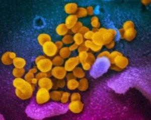 Не уважает границ: коронавирус зафиксировали еще в 11 странах