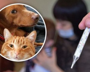 Коронавірусом можна заразитися від  домашніх тварин