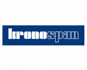 Прихід компанії Kronospan призведе до значних проблем - ЗМІ