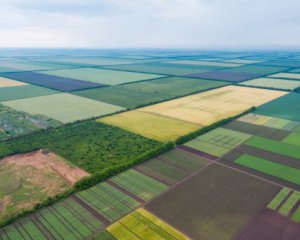 Украинцы заработают деньги - Зеленский рассказал о рынке земли