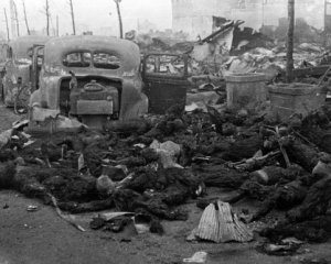 Самолеты сбросили 1665 тонн бомб и напалма на японцев