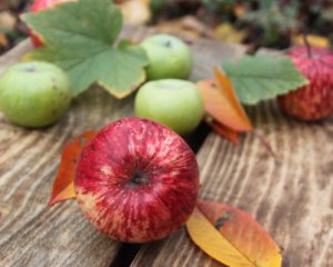 Дорожче, ніж у Польщі: українцям завезуть іноземні яблука