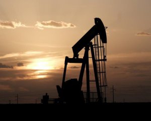 Цены на нефть снова падают: реакция на запрет въезда в США