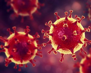 Нідерландські вчені знайшли антитіло для коронавірусу