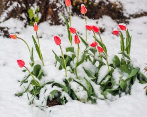 Холод і сніг: синоптики розповіли про зміну погоди в Україні