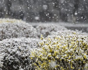 Які сюрпризи підготувала погода на найближчі дні