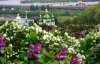 Відкрили найбільший ботанічний сад в Україні