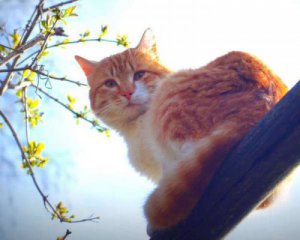 Якою буде березнева погода в наступні два дні